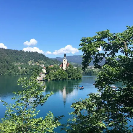 Sobe 3* Brezje